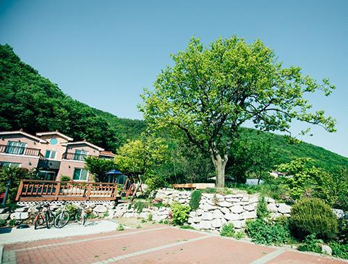 Utopia Pension Gyeongju Zewnętrze zdjęcie